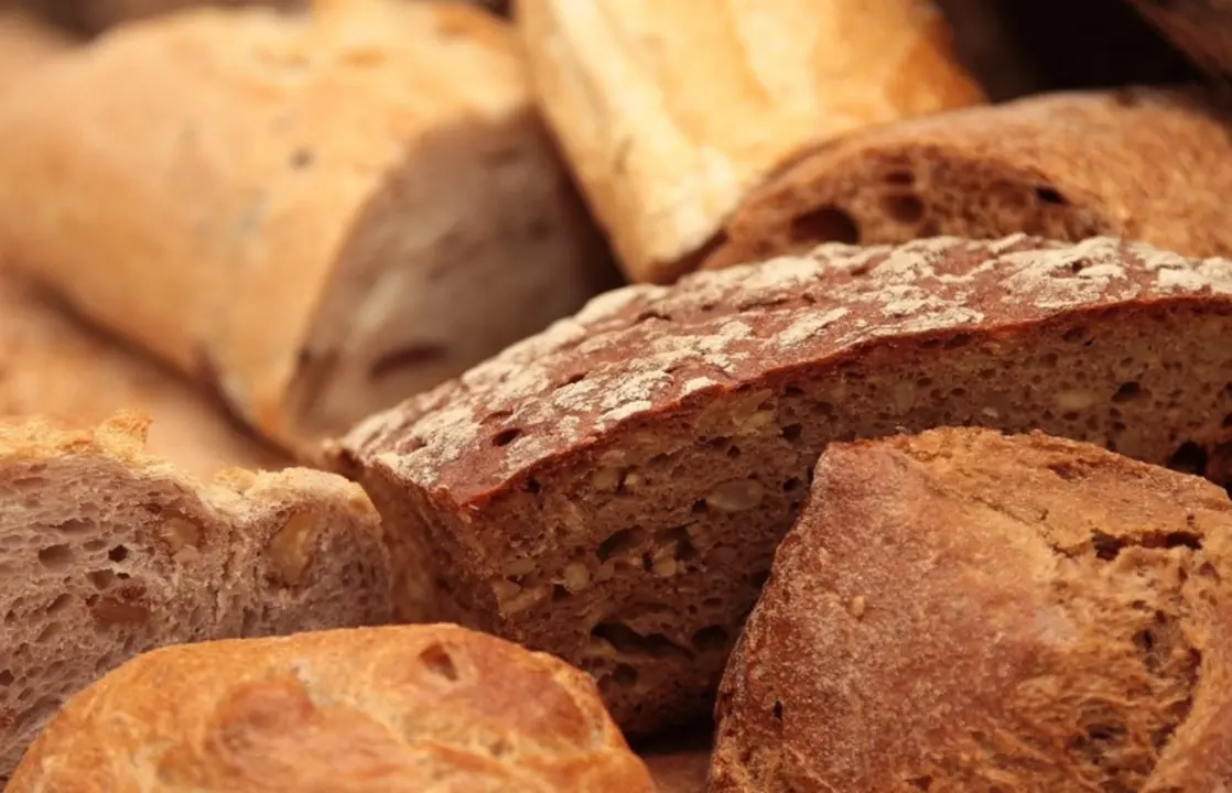  Un estudio vincula la calidad de los carbohidratos a una mejor salud de la microbiota intestinal - URV 