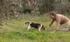  Captura del v&iacute;deo de Instagram de &Aacute;ngel Peralta 