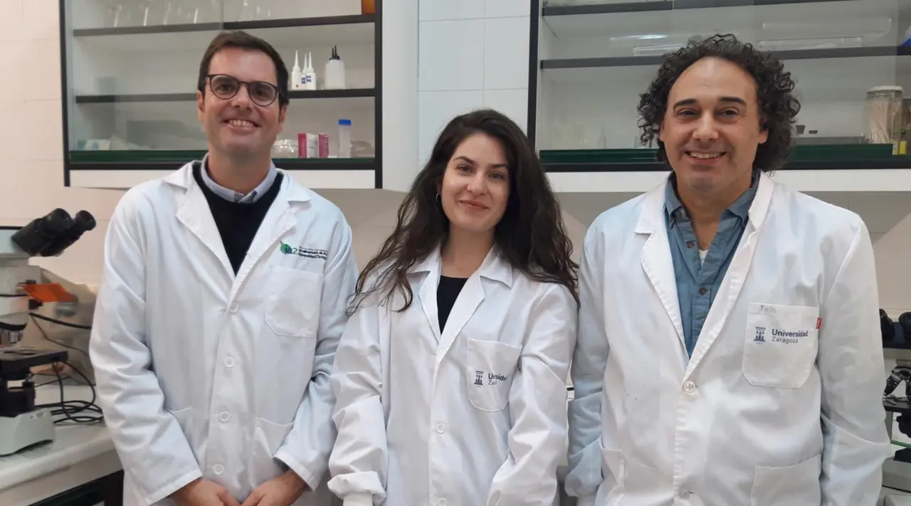  De izquierda a derecha V&iacute;ctor Lopez, Paula Jurado y Jes&uacute;s Arenas en los laboratorios de la Unidad de Microbiolog&iacute;a e Inmunologia de la Facultad de Veterinaria de la Universidad de Zaragoza. - UNIVERSIDAD DE ZARAGOZA 