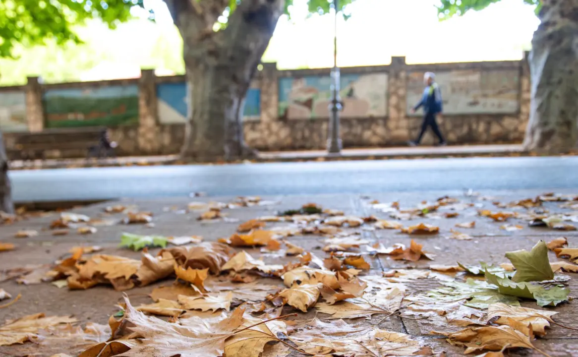  Tiempo en C&oacute;rdoba 