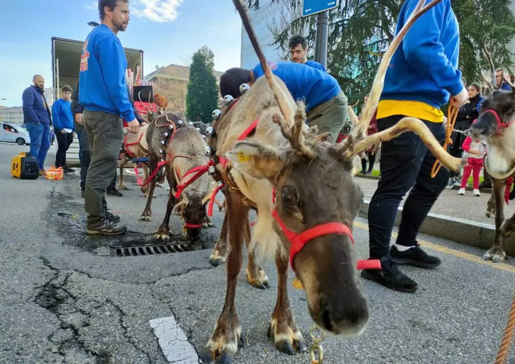  Archivo - Preparando cabalgata de Pap&aacute; Noel en Oviedo. Animales en cabalgata. - EUROPA PRESS - Archivo 