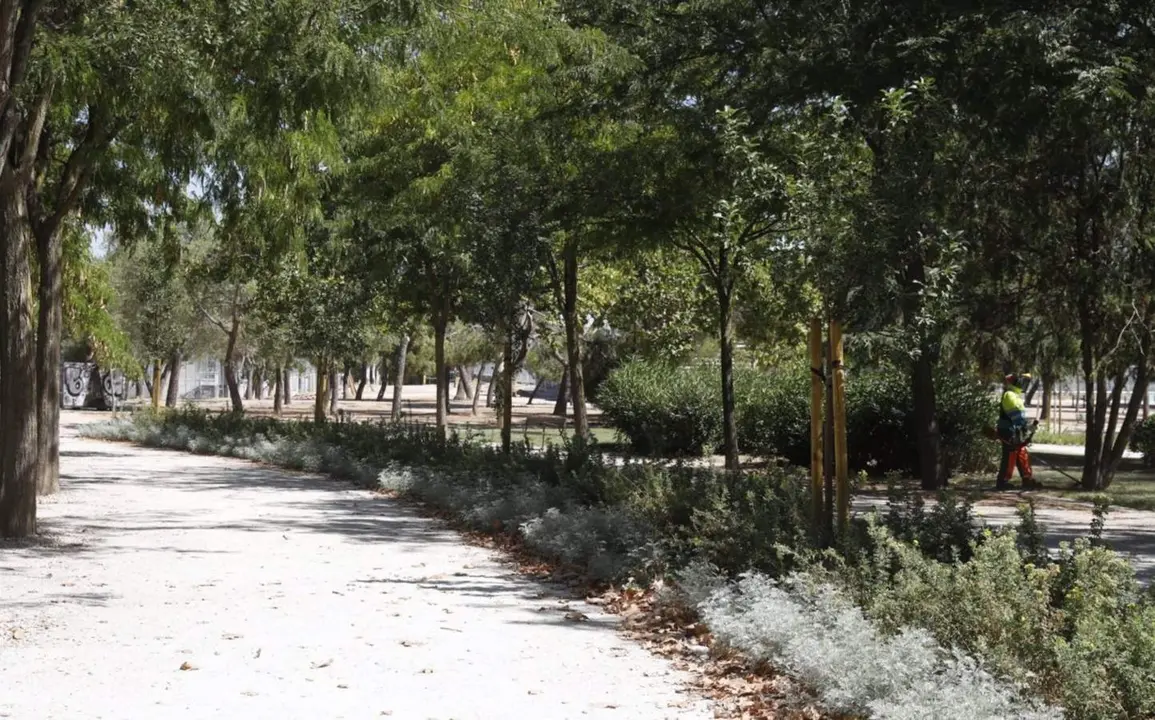  Archivo - Parque de las Cruces de Madrid. - AYUNTAMIENTO DE MADRID - Archivo 