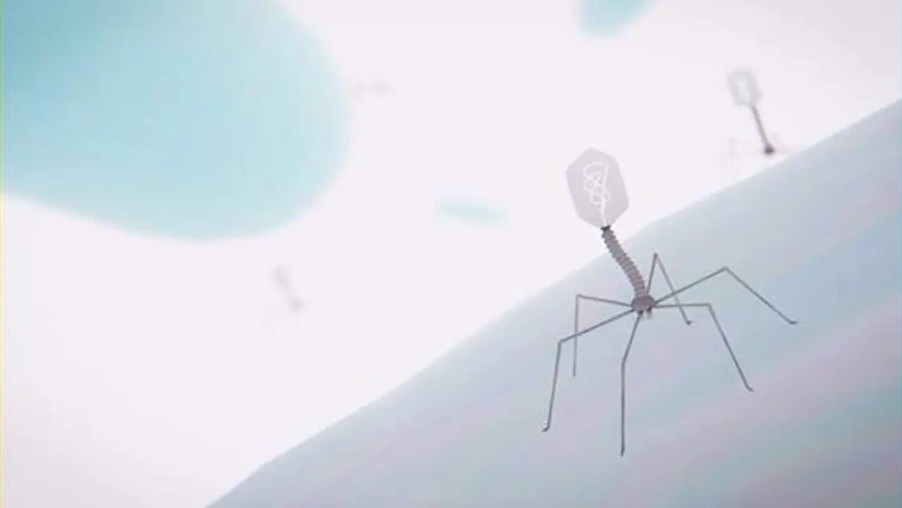  Recreaci&oacute;n de un fago infectando una bacteria. - VICENTE CASES ARRU&Eacute; - CSIC COMUNITAT VALENCIANA 