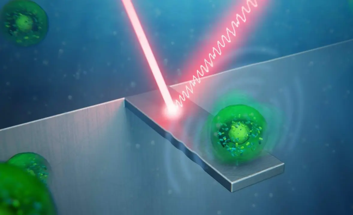  Recreaci&oacute;n art&iacute;stica de la &lsquo;vibraciones&rsquo; de las c&eacute;lulas. - IMN-CSIC 