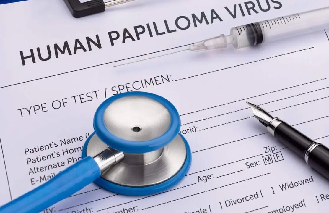  Archivo - Papilomavirus - SEFA OZEL/ISCTOCK - Archivo 