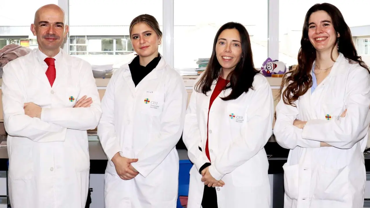  Investigadores del CEU consiguen modular los efectos del alcohol sobre la matriz del cerebro adolescente - CEU 