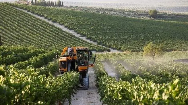  Agricultura. ARCHIVO 