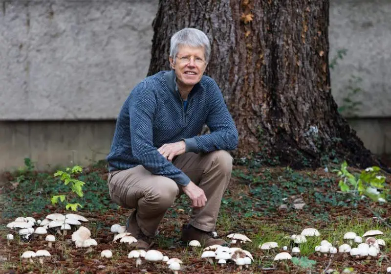  Peter Pearman, investigador Ikerbasque de la UPV/EHU y asociado al BC3 - UPV/EHU 