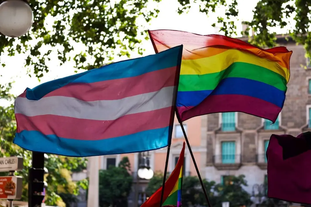  Banderas del colectivo LGTBI+ durante la manifestaci&oacute;n del D&iacute;a del Orgullo en Palma 