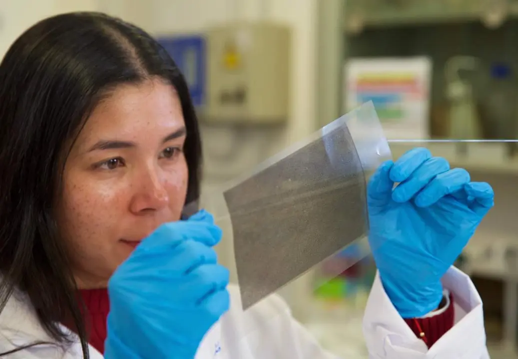  Investigadores de la UA trabajan en el desarrollo de un envase activo para la conservaci&oacute;n de frutas realizado con biomasa procedente de huesos de aceituna - UA 