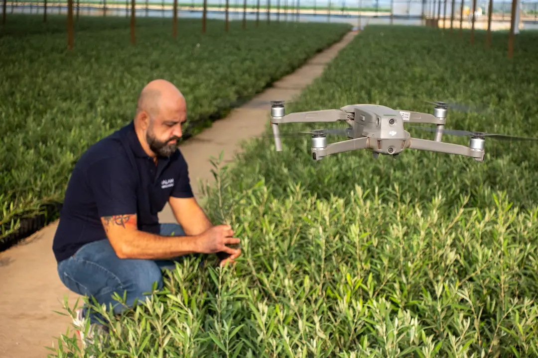  Proyecto BOOM y BALAM agriculture 