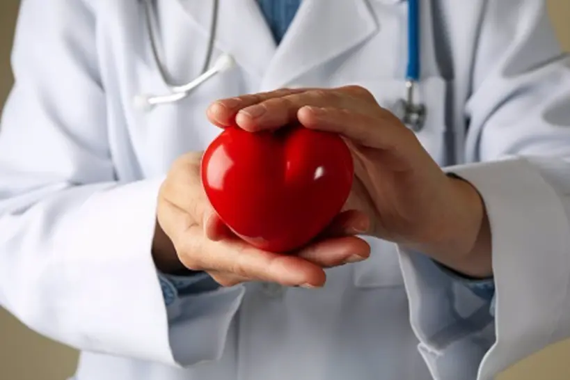  Coraz&oacute;n, enfermedades cardiovasculares. 