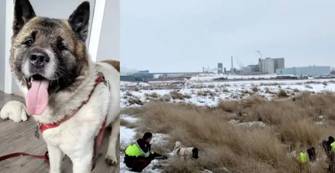  Cr&eacute;dito: Taber Lost Paws Society / Servicio de Polic&iacute;a de Taber, Alberta Canad&aacute; 