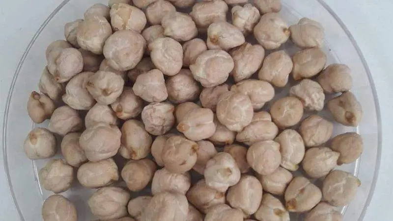  Garbanzos de C&oacute;rdoba 