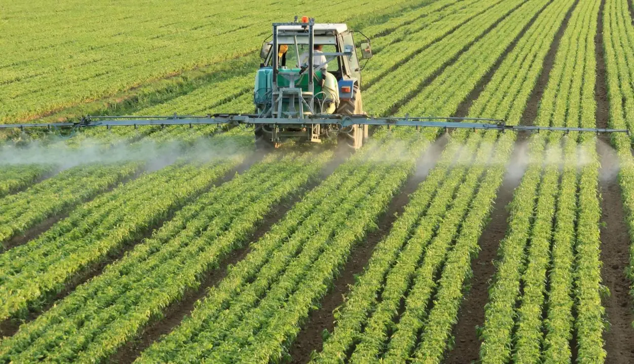  Archivo - Cultivo - MINISTERIO DE AGRICULTURA, PESCA Y ALIMENTACI&Oacute;N 