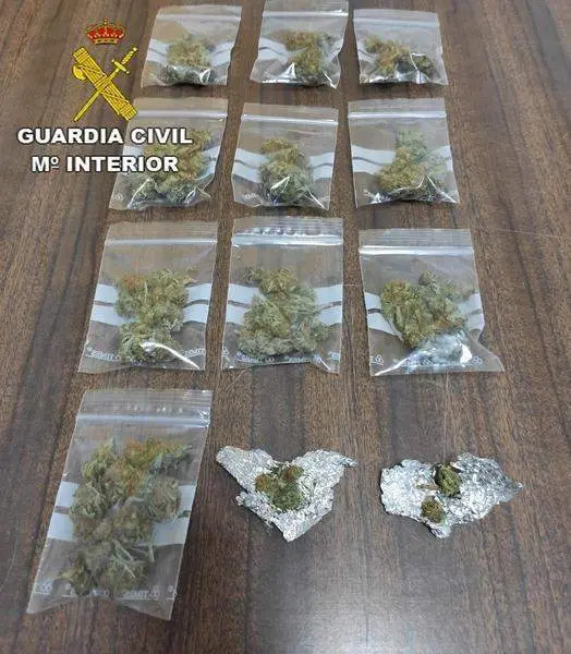  MARIHUANA VILLAVICIOSA 1 