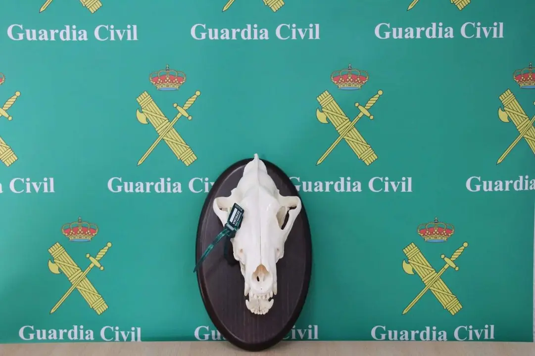  Cazadores investigados por la Guardia Civil | EP 