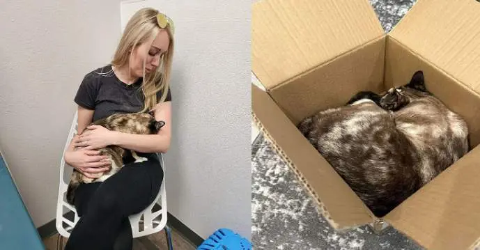  Carrie Clark reunida con su gata- Cortes&iacute;a de Carrie Clark 