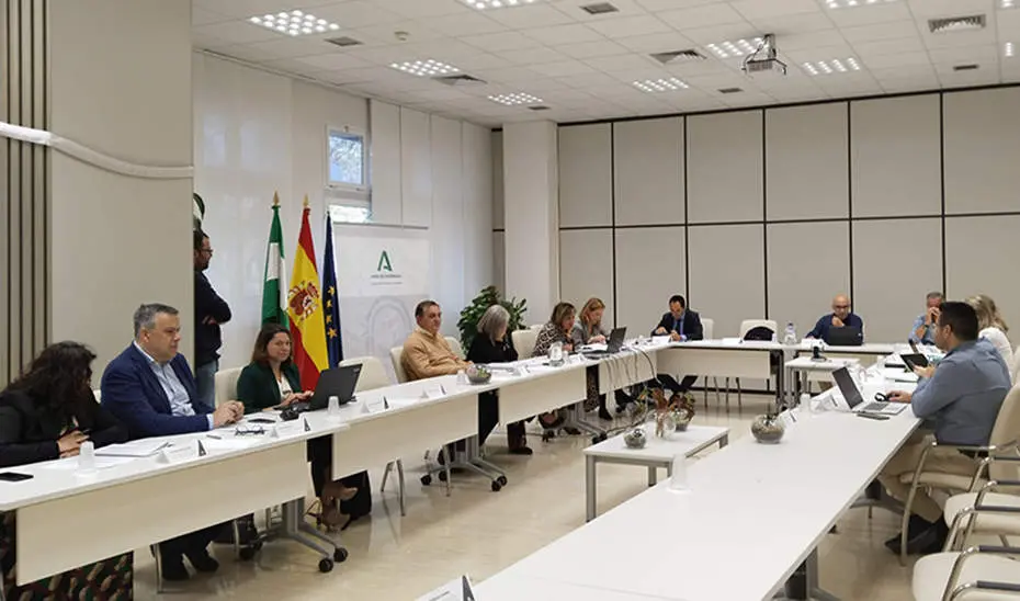  Comit&eacute; director del Plan Estrat&eacute;gico de Salud Mental y Adicciones de Andaluc&iacute;a | Junta de Andaluc&iacute;a 