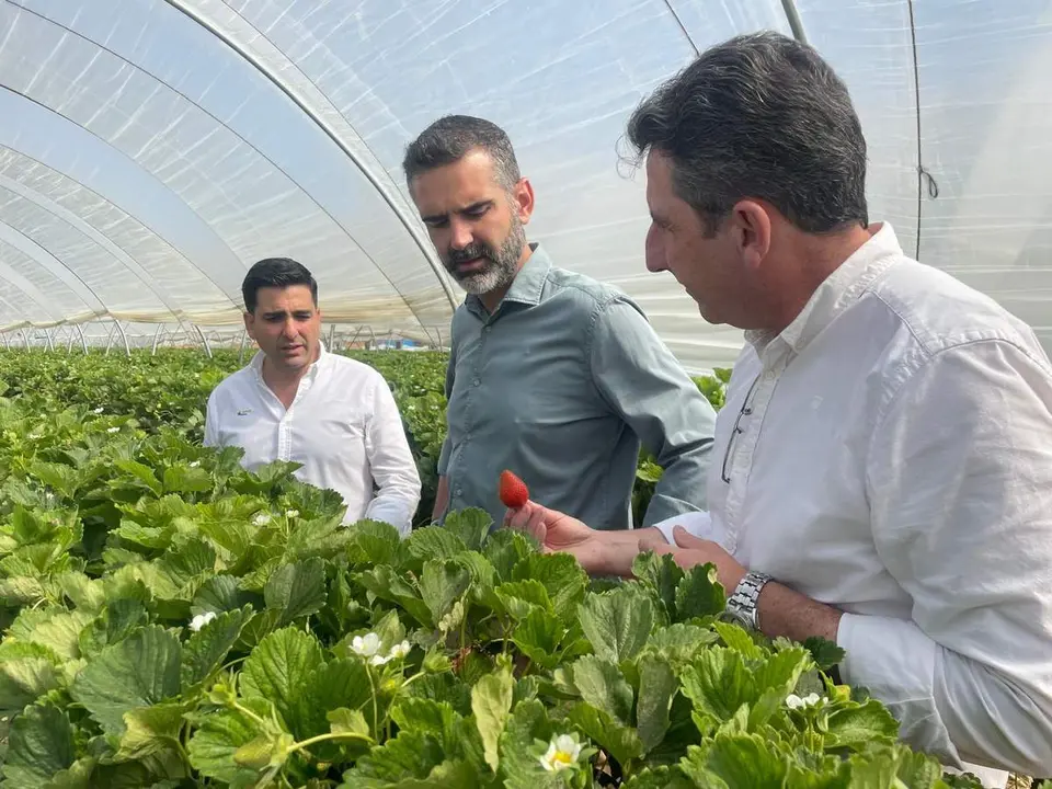  Consejero de Agricultura, Ram&oacute;n Fern&aacute;ndez-Pacheco 