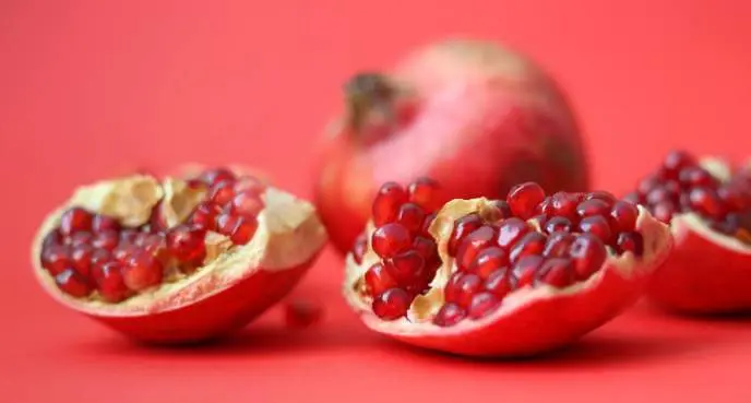  Foto by Sahand Babal 