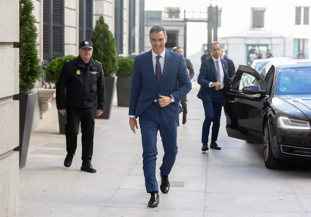  El presidente del Gobierno, Pedro S&aacute;nchez 