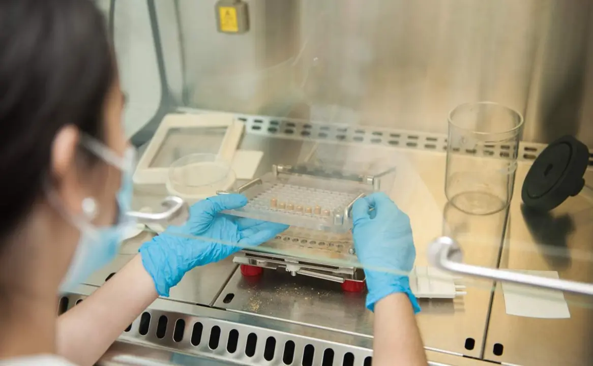  Archivo - El Hospital de Bellvitge es el "&uacute;nico" centro en Catalunya capaz de fabricar c&aacute;psulas liofilizadas de microbiota intestinal a partir de heces de donantes - HOSPITAL DE BELLVITGE - Archivo 