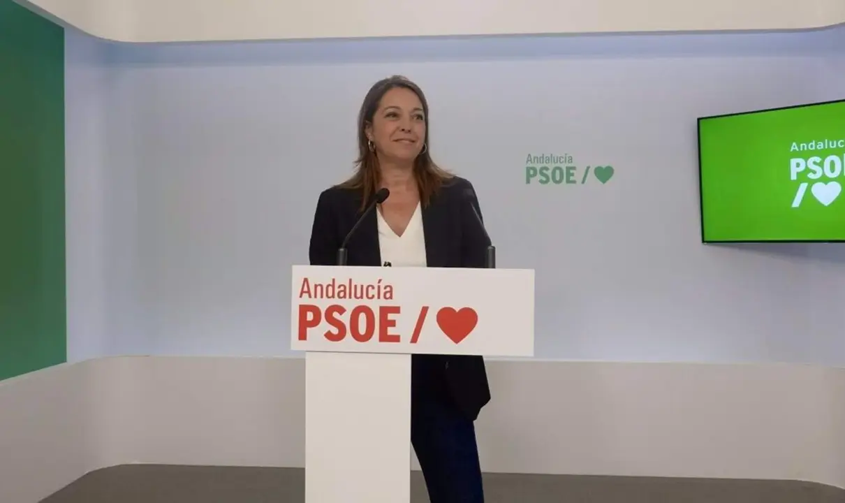  La portavoz adjunta del Grupo Socialista y portavoz del Gobierno alternativo de este partido, Isabel Ambrosio, este lunes en rueda de prensa. - PSOE DE ANDALUC&Iacute;A 