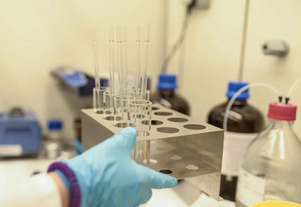  Archivo - Un estudio de la Fundaci&oacute;n Fisabio y la Universidad Complutense de Madrid asocia por primera vez el par&aacute;sito anisakis - GVA - Archivo 