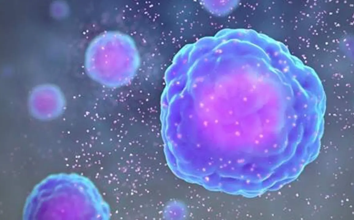  Las c&eacute;lulas inmunitarias liberan prote&iacute;nas llamadas citoquinas que alertan al resto del sistema inmunitario de la presencia de un virus | 20 minutos 