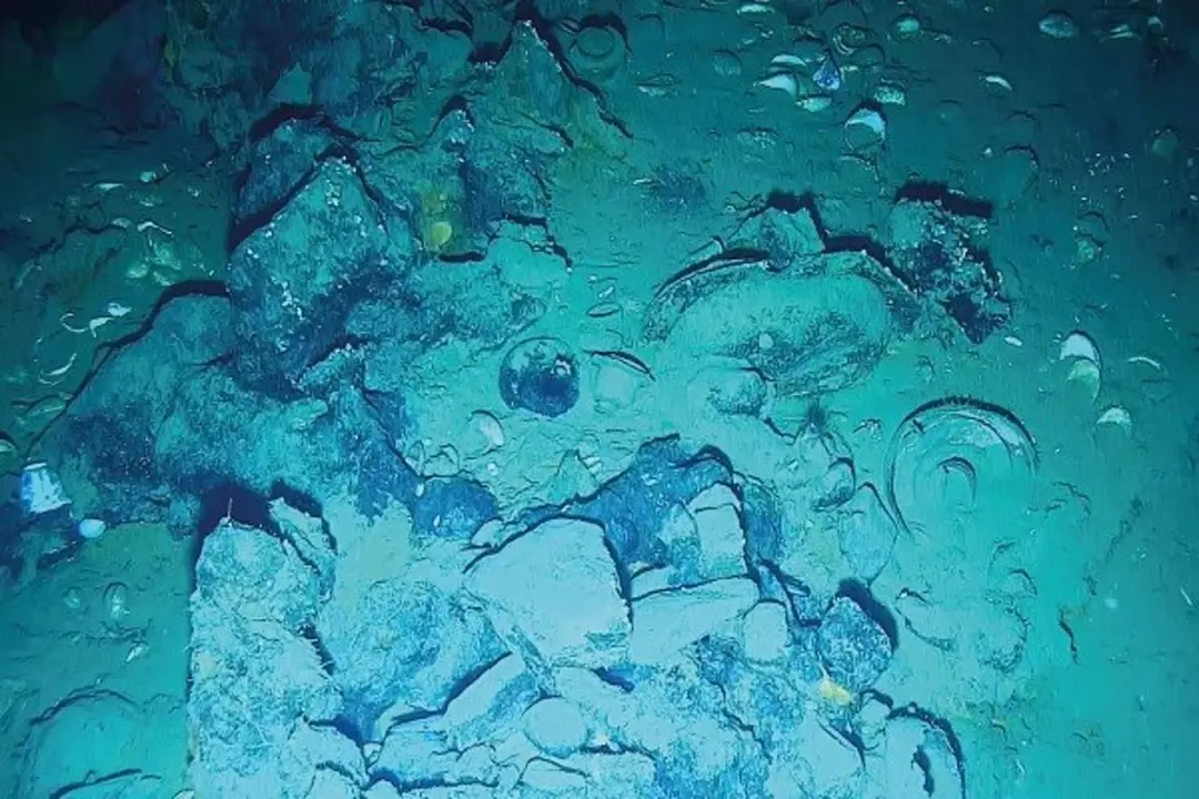  Piezas arqueol&oacute;gicas en la zona del hundimiento del gale&oacute;n espa&ntilde;ol 'San Jos&eacute;' 