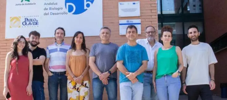  El grupo de investigaci&oacute;n &lsquo;Regulaci&oacute;n de la s&iacute;ntesis de coenzima Q y sus implicaciones en la salud mitocondrial&rsquo;, dirigido por Carlos Santos Oca&ntilde;a (en el centro de la imagen) | Ciber ONC 