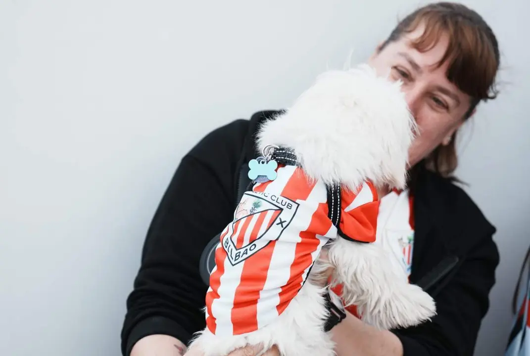  Archivo - Un perro con una camiseta del Athletic Club de Bilbao, a 5 de abril de 2024, en Lezama, Vizcaya, Pa&iacute;s Vasco (Espa&ntilde;a). - H.Bilbao - Europa Press - Archivo 