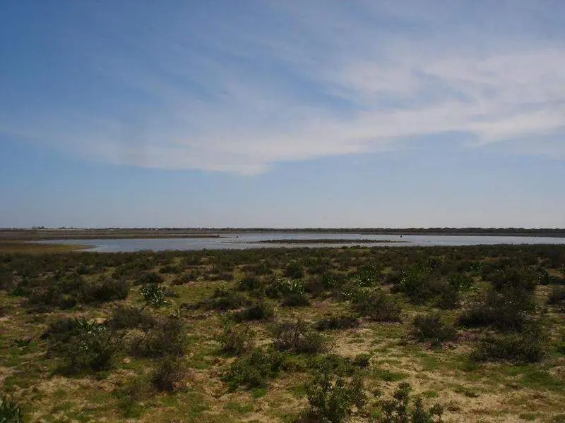  Do&ntilde;ana. 
