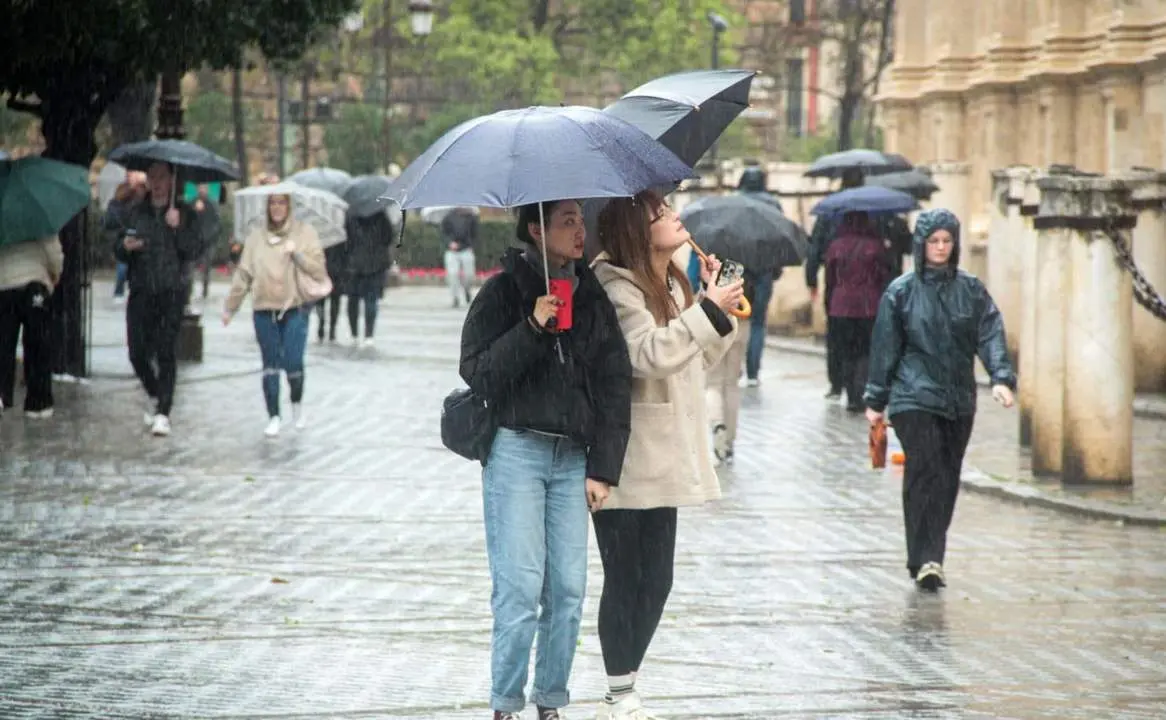  Varias personas se protegen de la lluvia bajo sus paraguas. A 9 de febrero de 2024, en Sevilla (Andaluc&iacute;a, Espa&ntilde;a). La borrasca 'Karlotta' activa avisos por lluvia, viento y oleaje en todas las provincias andaluzas. - Mar&iacute;a Jos&eacute; L&oacute;pez - Europa Press 