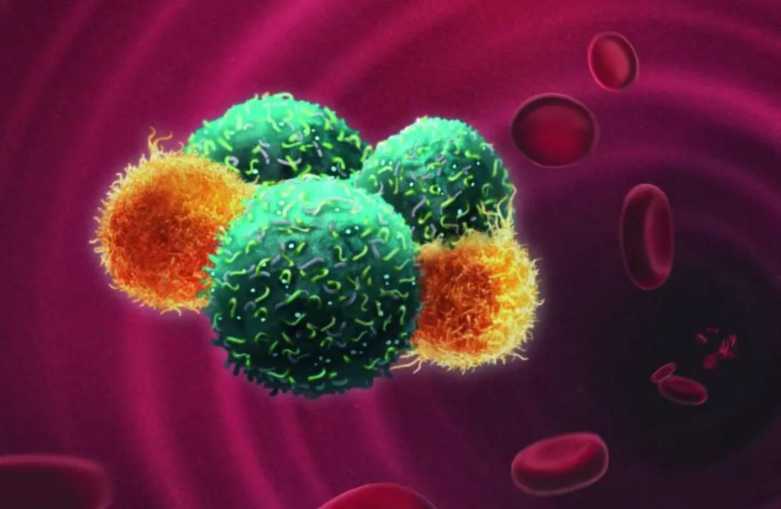  Archivo - Representaci&oacute;n art&iacute;stica de c&eacute;lulas tumorales circulantes. - UNIVERSITY OF BASEL - Archivo 