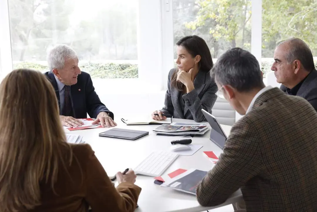  Archivo - La reina Letizia durante su reuni&oacute;n con varias organizaciones sociales para conocer su labor durante la dana, a 9 de noviembre de 2024, en el Palacio de la Zarzuela, en Madrid, Espa&ntilde;a. - CASA REAL - Archivo 
