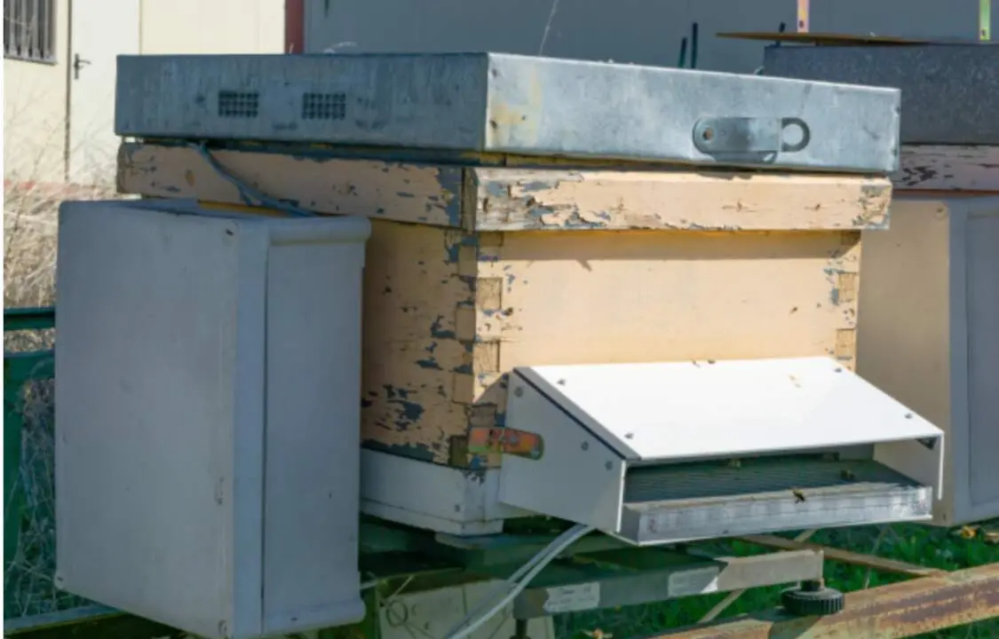  Fotograf&iacute;a del contador de abejas. Fuente: IEEE Access 