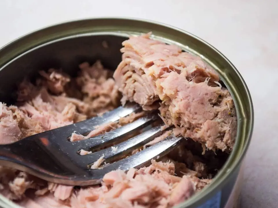  M&aacute;s del 50% de latas de at&uacute;n del mercado europeo supera el m&aacute;ximo de mercurio 