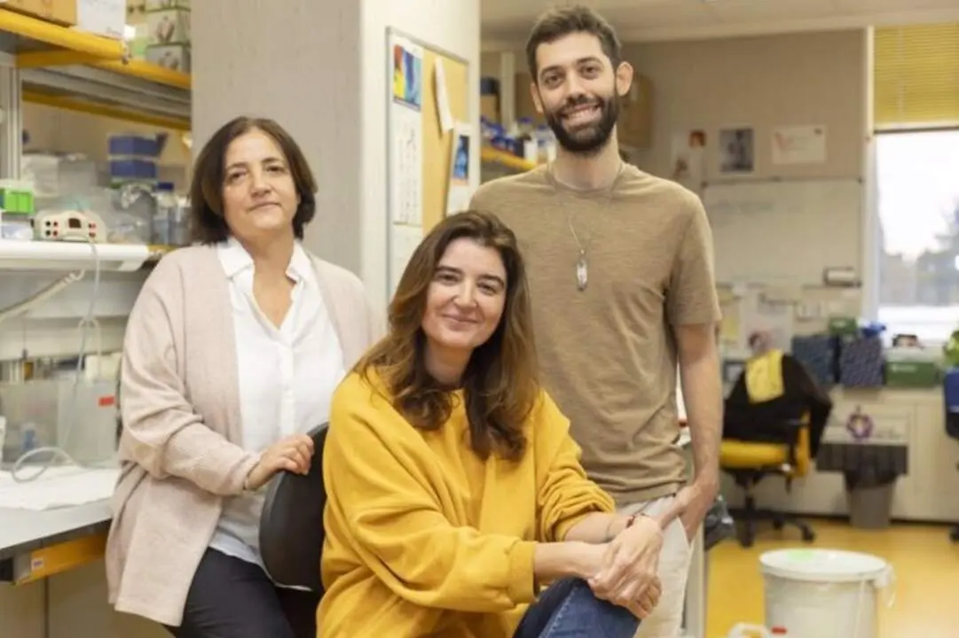  Archivo - De izquierda a derecha: Ana Losada, Ana Cuadrado y Daniel Gim&eacute;nez-Llorente, investigadores del Centro Nacional de Investigadores Oncol&oacute;gicas (CNIO) - LAURA M. LOMBARD&Iacute;A / CNIO - Archivo 