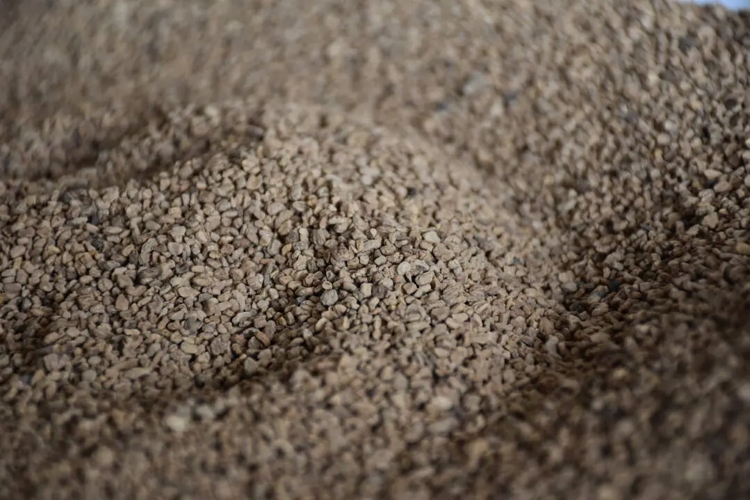  El hueso de aceituna: una alternativa sostenible para combatir el fr&iacute;o 