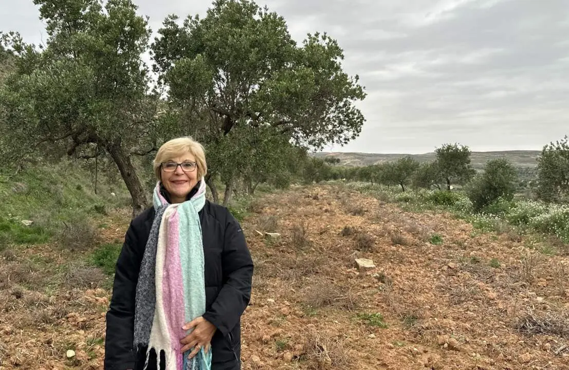  'El Olivar De Pilar' - APADRINAUNOLIVO.ORG 