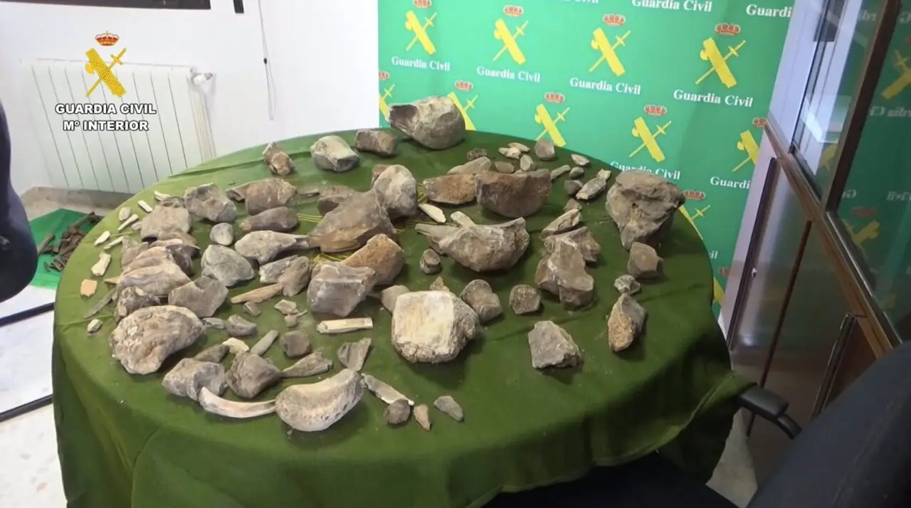  La Guardia Civil recupera m&aacute;s de 100 restos de mamuts expoliados de un yacimiento de Granada - GUARDIA CIVIL | EP 