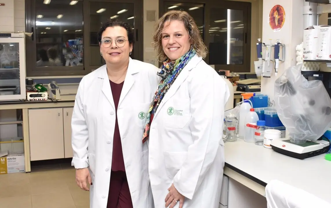  Un estudio de la UCV revela el impacto de las bebidas energ&eacute;ticas en el deterioro de la salud dental de los atletas aficionados - UCV 