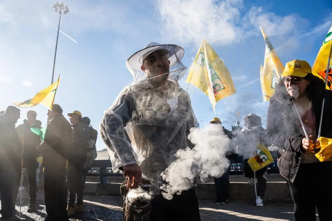  Archivo - Apicultores durante una protesta de agricultores y ganaderos frente al Ministerio de Agricultura, a 16 de diciembre de 2024, en Madrid (Espa&ntilde;a). - Matias Chiofalo - Europa Press - Archivo 