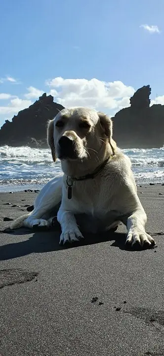  Tarz&aacute;n Trailrunner @tzntrail | NP Influencer Awards Spain 2024 