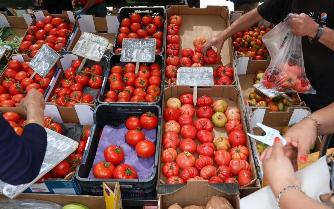  Archivo - Cajas de tomates en un mercado de la Comunidad de Madrid - Marta Fern&aacute;ndez Jara - Europa Press - Archivo 