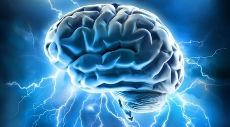  Cerebro el&eacute;ctrico CC Allan Ajifo 