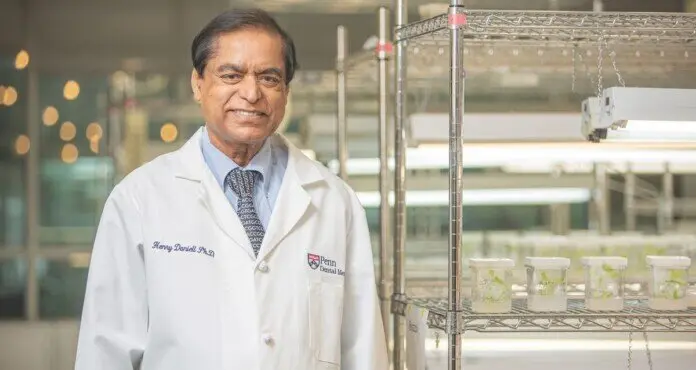  Cient&iacute;ficos desarrollan un chicle antiviral con extracto vegetal que neutraliza gripe y herpes 