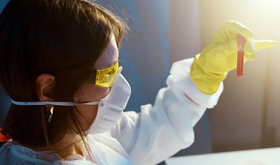  La Junta de Andaluc&iacute;a 